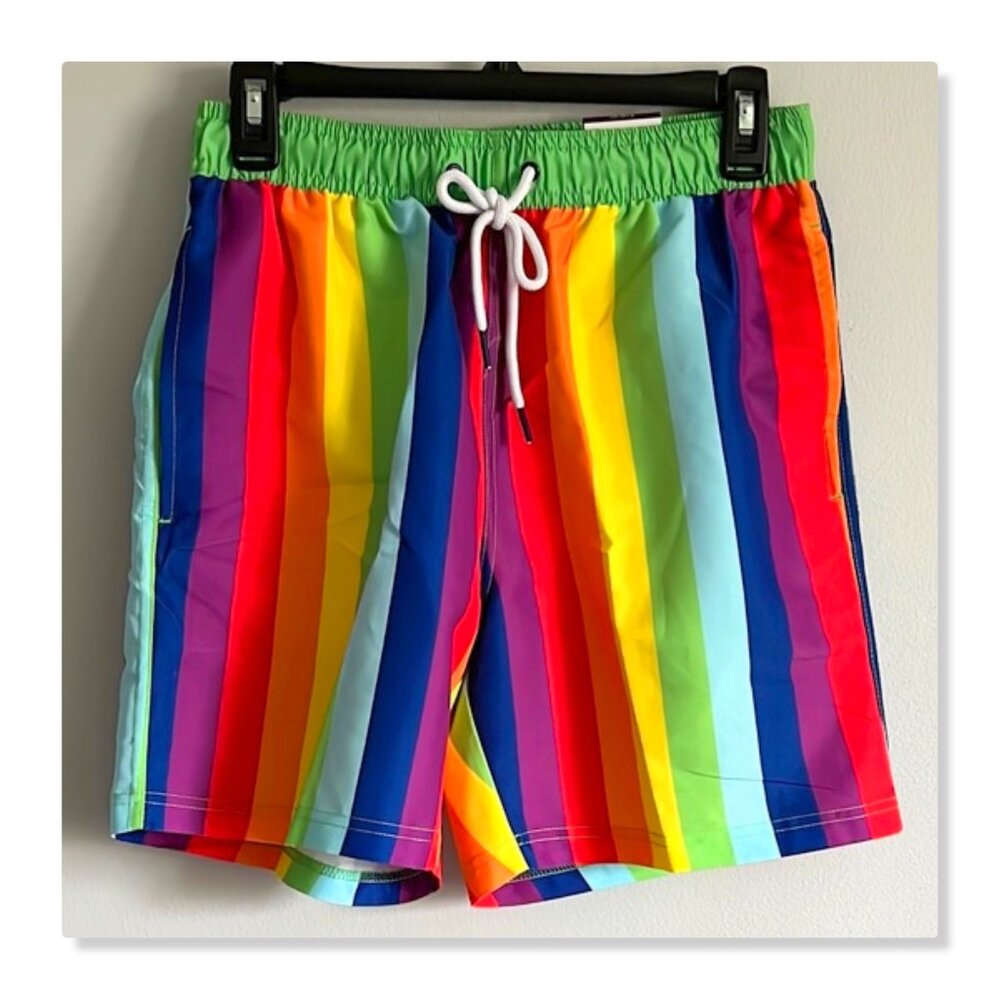 Multicolor Striped Men's Swim Shorts